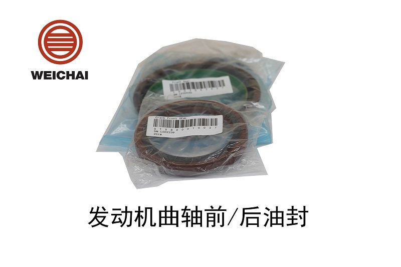 Front oil seal